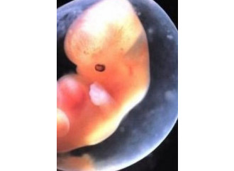 L'embrione e la madre, dialogo che non si vuole vedere